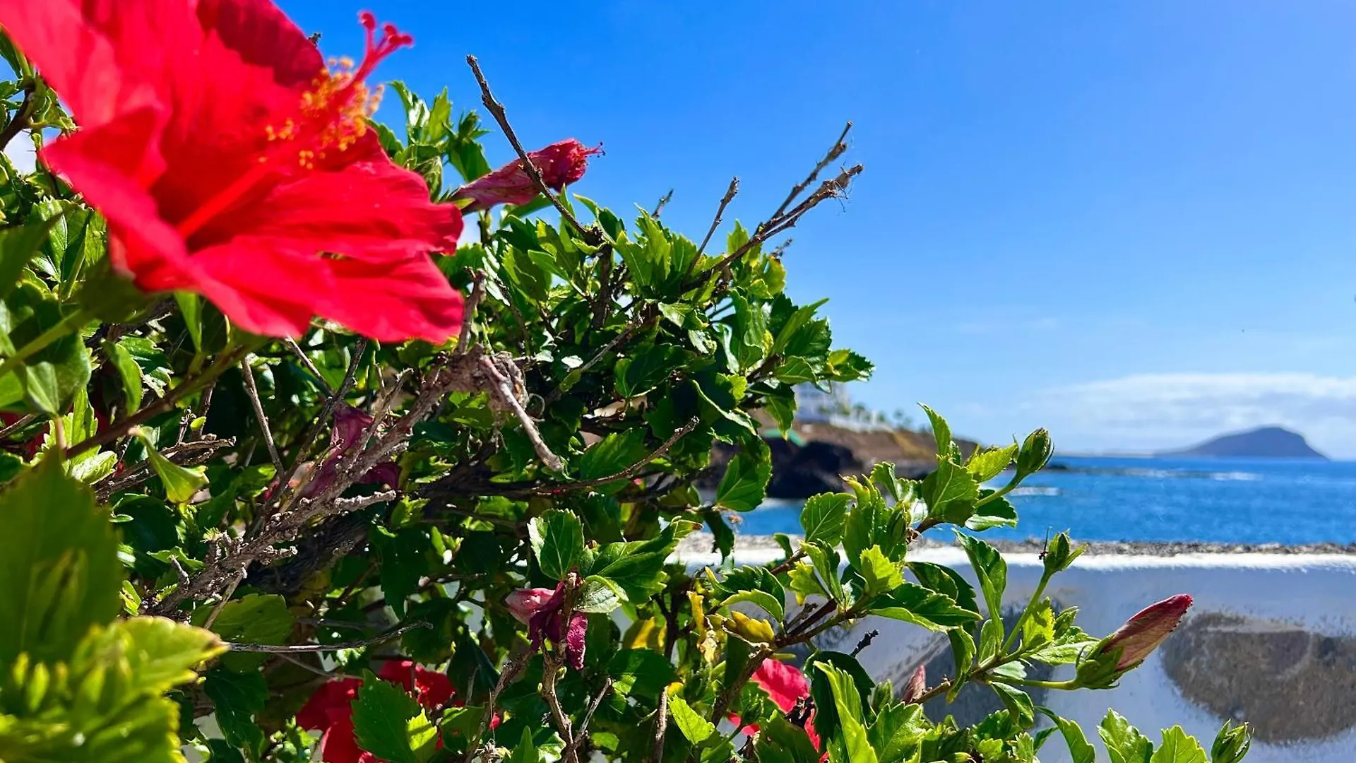 Paz Ocean View, Air Condition, Wifi, Heated Pool Σαν Μιγκέλ ντε Αμπόνα Ισπανία
